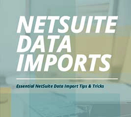 netsuite data imports pdf
