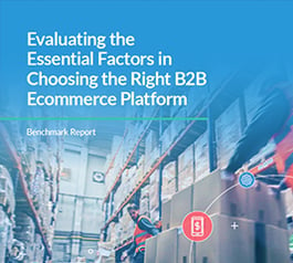 essential-factors-in-choosing-b2b-ecommerce-platform