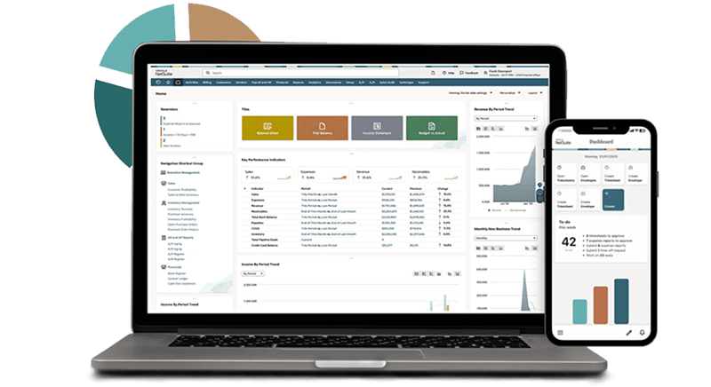 NetSuite Partner Protelo Implementation - Support