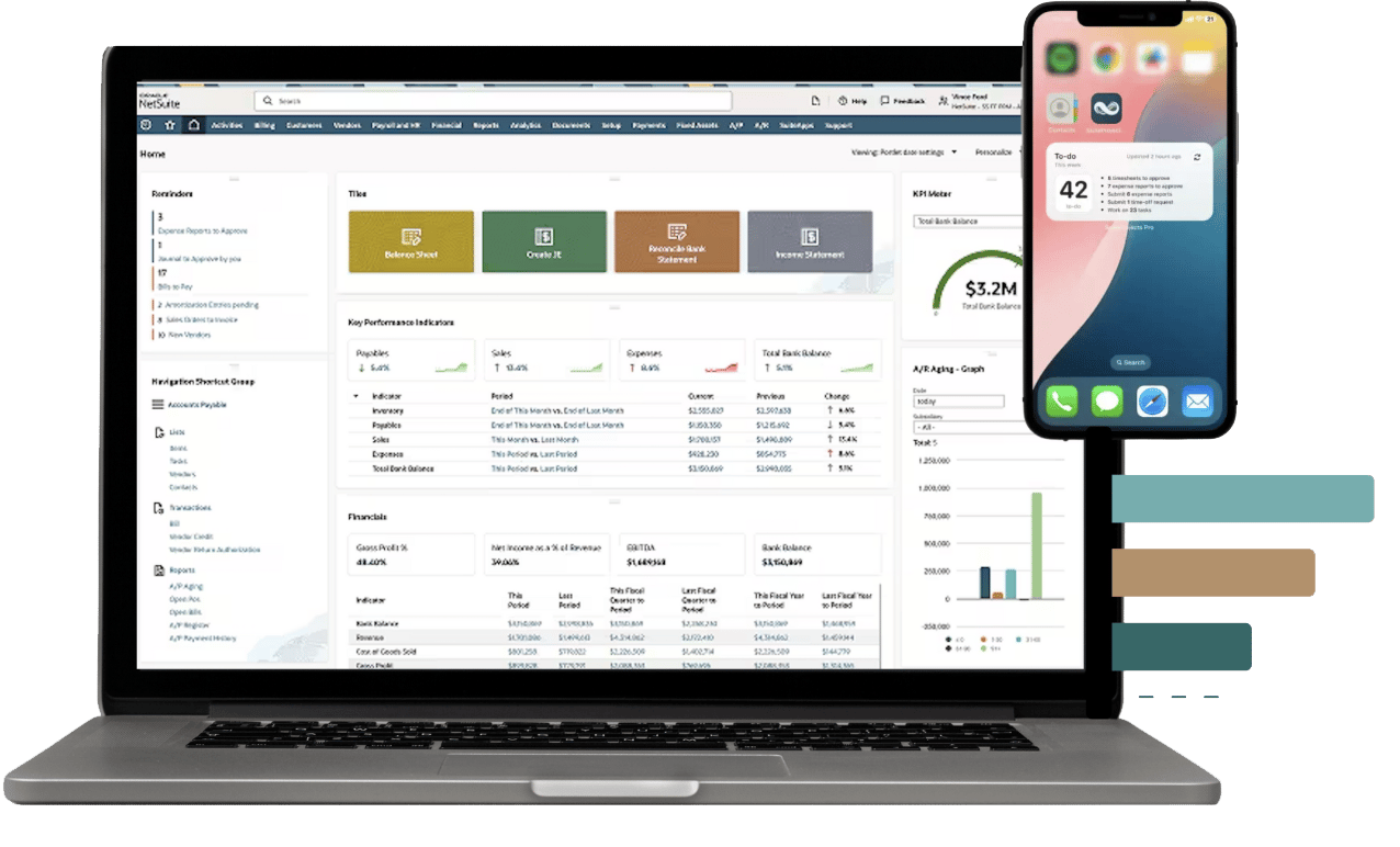 netsuite customer story - working with protelo From quickbooks to netsuite 