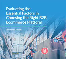  Evaluating the Essential Factors in Choosing the Right B2B Ecommerce platform
