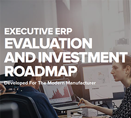 Executive ERP Evaluation and Investment