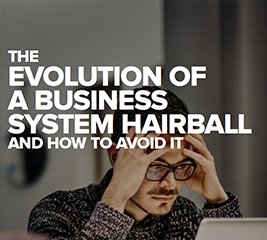 The Evolution of a Business System Hairball